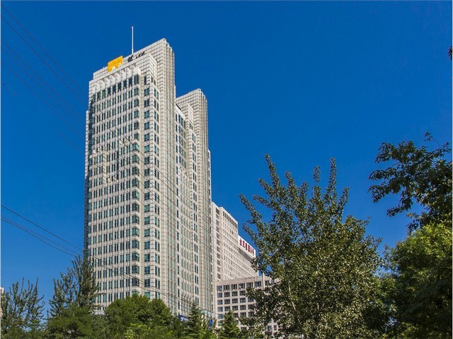 雅安庭院草皮销售