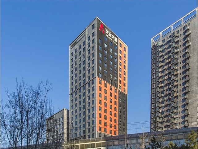 雅安庭院草皮销售